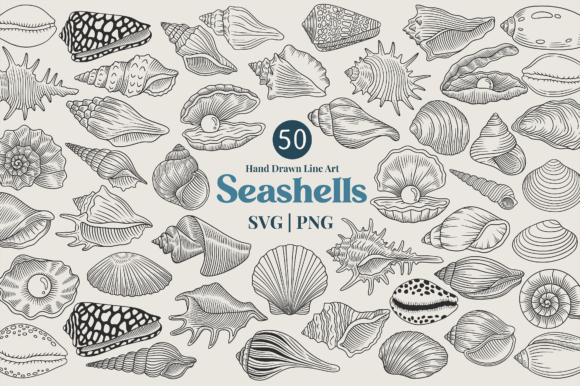 Seashell Line Art Clipart Bundle: A Practical Guide for Coastal Design Workflows